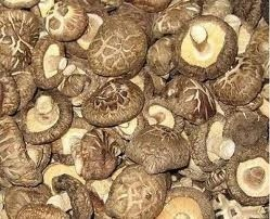 Huby Sušené Shiitake 1kg Shitake Veľkoobchod
