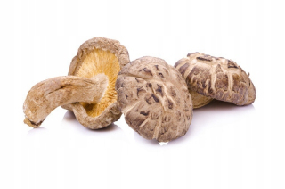 Sušené húb shiitake 3kg