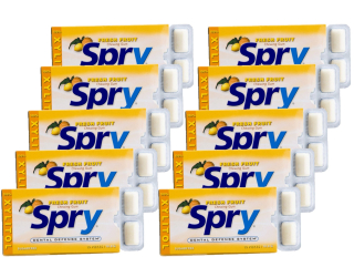 Žuvacie guma SPRY s ovocným xylitolom 10PP 10ks