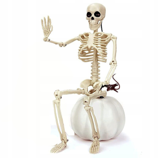 Halloween - Plastická plastová kostra 40 cm