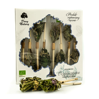 TEA NA BIO CLEANSKEJ STICKU (8 x 2,5 g) 2