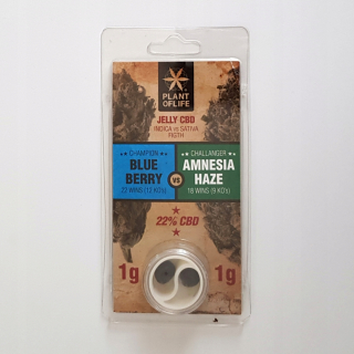 CBD - Hash 1 g / 1 g Blueberry vs. Amnesia Haze 22% CBD POL