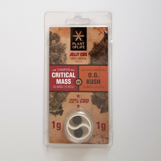 CBD - Hash 1 g / 1g Critical Mass vs. O.g Kush 22% CBD pol