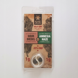 CBD - Hash 1G / 1g Sour Diesel vs Amnesia HAZE 22% CBD POL