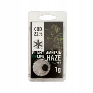 CBD - Hash 1G AMNESIA HAZE 22% CBD ZÁRUKA LIFE