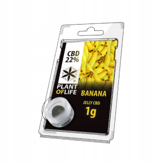 CBD - Hash 1G Banana 22% CBD rastlín života