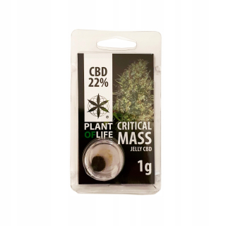 CBD - Hash 1G Critical Mass 22% CBD Plant of Life