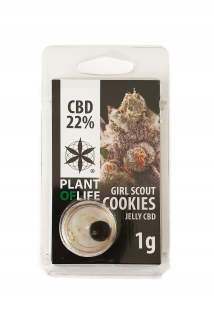 CBD - Hash 1G Girl Scout Cookies 22% CBD Plant of Life