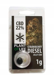 CBD - Hash 1G Strawberry Diesel 22% CBD Plant of Life