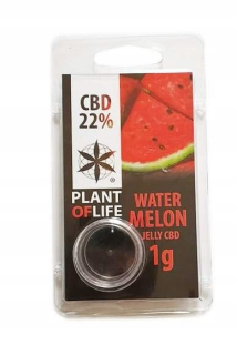 CBD - Hash 1G Melón 22% CBD Plant of Life