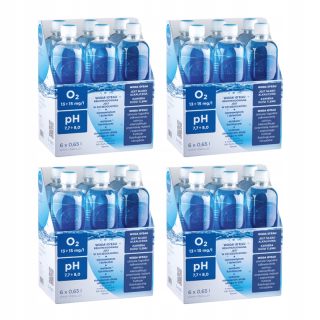 Alkaline voda stále 24x 650 ml