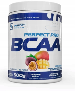 Aminokyseliny - Výživa insportu BCAA dokonalá Pro 500g aminokyseliny