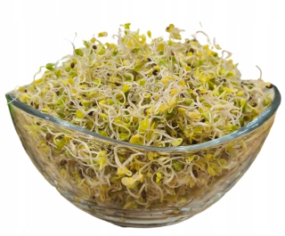 Zelené - semená pre 250 g klíčkov