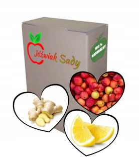 Apple Lemon Ginger 5l NFC
