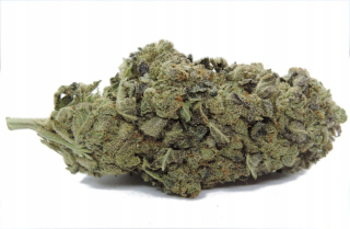 Jack Herer 5G / 4.1% CBD