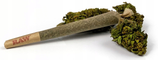CBD - Spoločné Twist blank sucho CBD 18% Budha 10ks