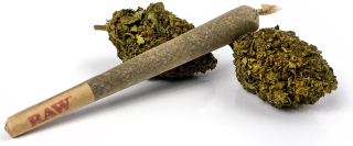 CBD - Spoločné sucho konope CBD 25% amnézia 10ks