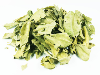 Kafir listy 100 g limonka sušené papeda kaffir s
