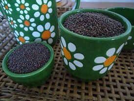 Červené kapustové semená na klíčkoch 500g