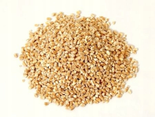 BIO JAČMENOVÉ KROPY (SUROVÝ MATERIÁL) (25 kg) 8