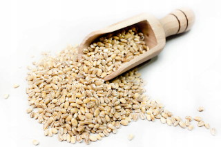 Barley Groove 20 kg vysokej kvality
