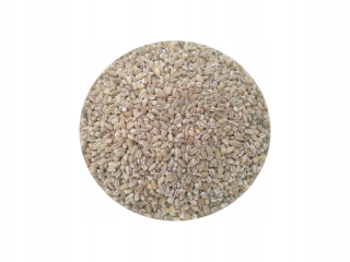 Barley Groove 25kg hrubý čistý