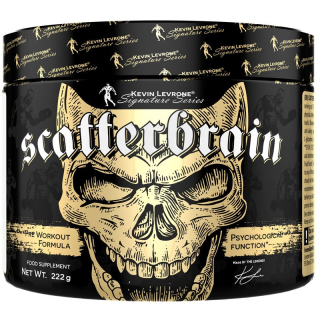 Kevin Levroone Scatterbrain 222G Motivácia Power Power