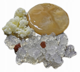 KOMBUCHA HUBY TEA + HUBY TIBETAN KEFIR
