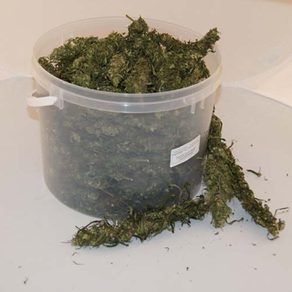 CBD - Konope polievka Wiecha 500g CBD topy vrcholy 10L