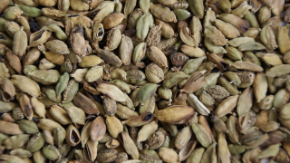 Kardamónové semeno - 500g