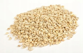 Jačmeň Groove Bio RAW 25 kg 7