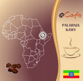 Zrnková káva -  Káva Čerstvo spálené Arabica Etiópia Kocher 1 kg