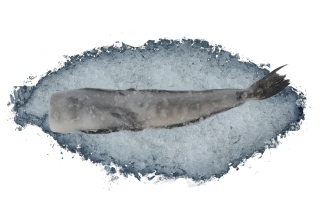 Kergelena 2KG