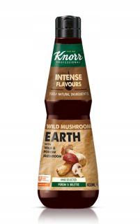 Profesionálna hubová esencia Knorr 0,4 l