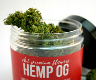 CBD - Konope sušených kvetov konope og 7 g CBD