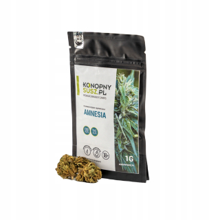 CBD - Konope sucho CBD 6,5% strata pamäti 5 g konope burinu