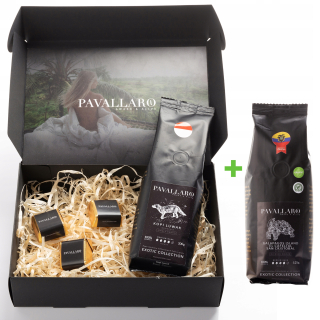 Kopi Luwak 100g + SADA kávových zŕn Galapágy
