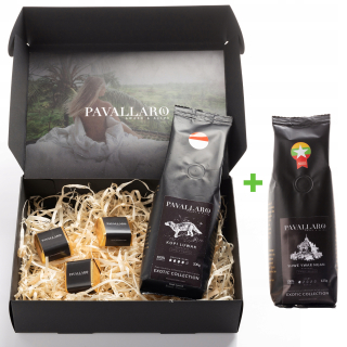 Kopírovať LUWAK 100G + SHWU YWAR Sada granulovanej kávy