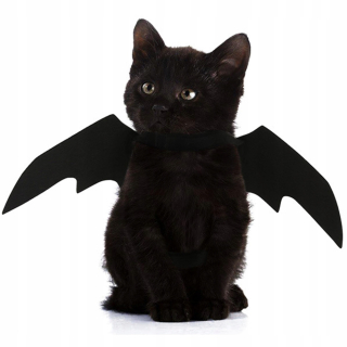 Halloween - Kostým pre psov a mačky