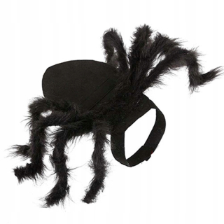 Halloween - Kostýmy mačiek Spider