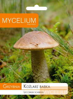 Mycelium 10 g mycelium dieťa