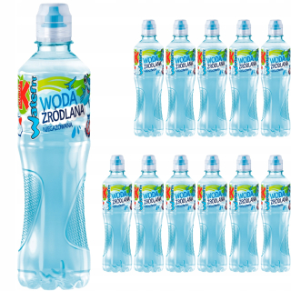 WIRNIE WATERRR NEPELOVANÁ VODA 12X 500 ml