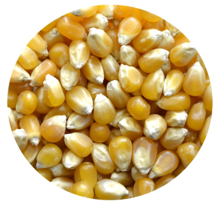 Kukurica Popcorn Premium Prírodné 5kg