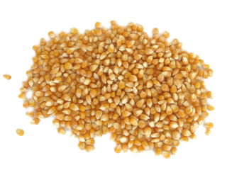 Kukuričný popcorn 25 kg PREMIUM