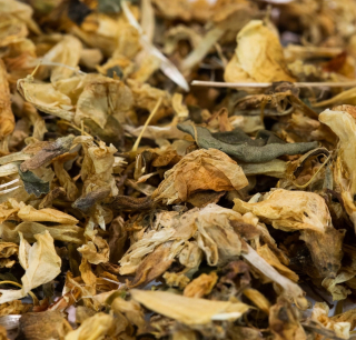 Kvety Acacia sušená 250 g