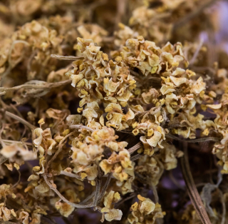 Čierne Lilac kvety sušené 250 g
