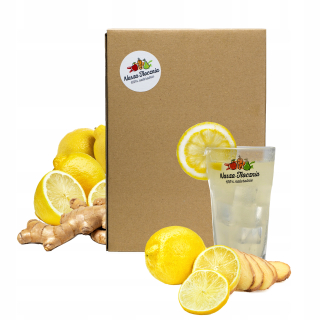 Lemonáda Lemon & Ginger Naše Fyfunistic 5L