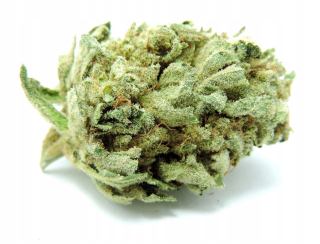 LEMON HAZE 10G / 3% CBD
