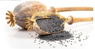 Poppy Blue Grain 5 kg Trim