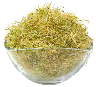 Mrkva - mrkva, semená pre 250 g klíč